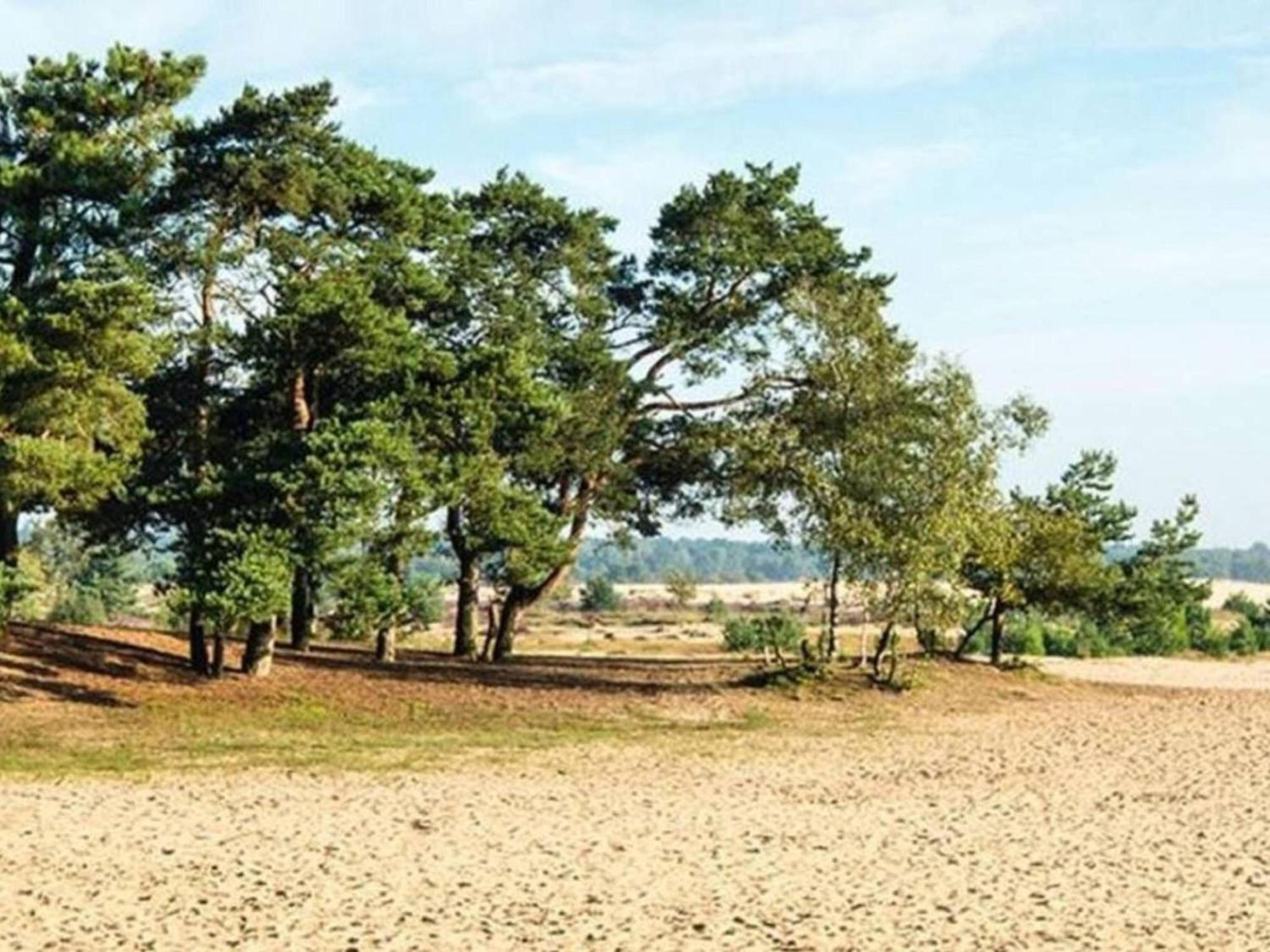 Steenenburg Zicht Nieuwkuijk 外观 照片
